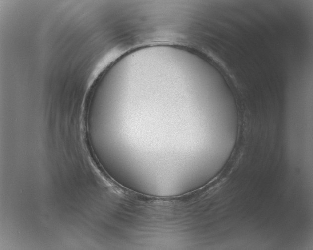 X0000076061469200610201935