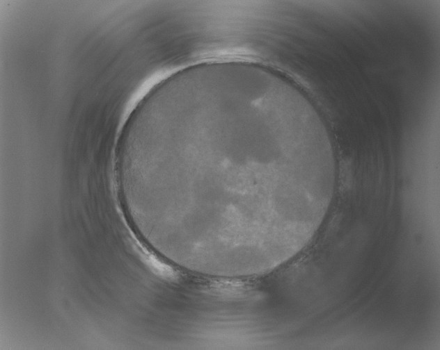 X0000076061470200610201935