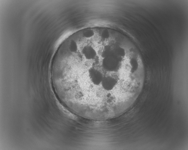 X0000076061471200610201935