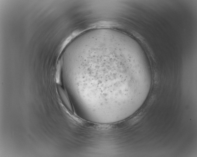 X0000076061473200610201935