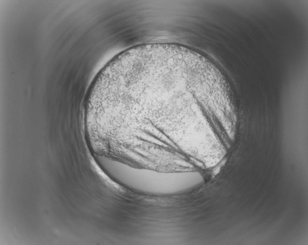 X0000076061476200610201935