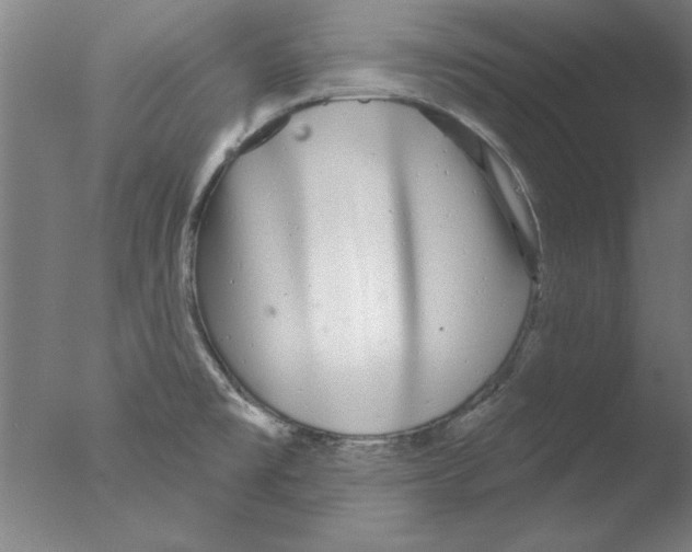 X0000076061477200610201935