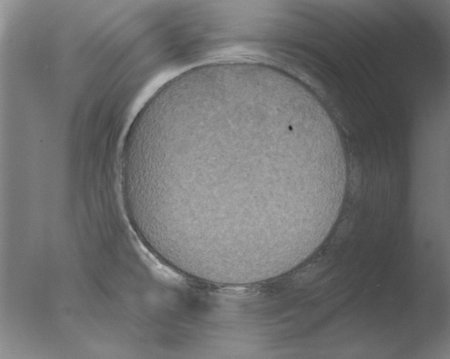 X0000076061478200610201935