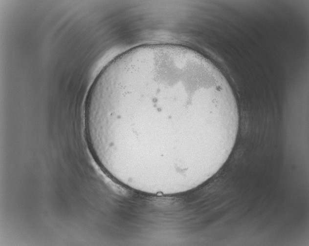 X0000076061479200610201935