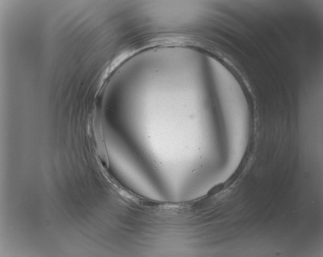 X0000076061481200610201935