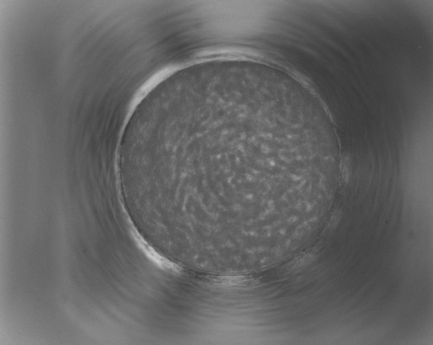 X0000076061482200610201935