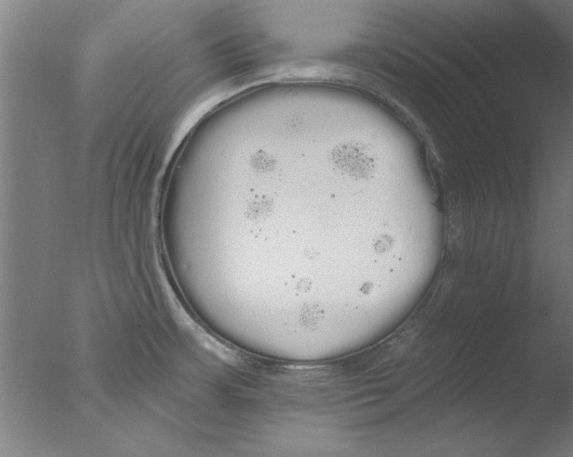 X0000076061483200610201935