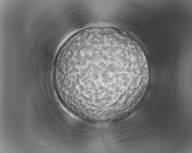 X0000076061484200610201935