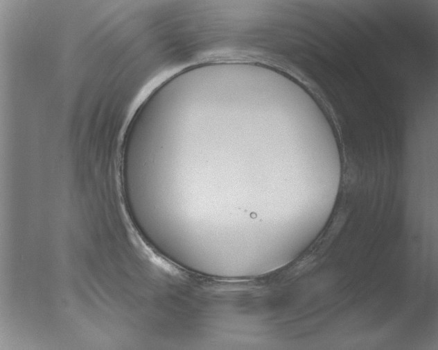 X0000076061486200610201935