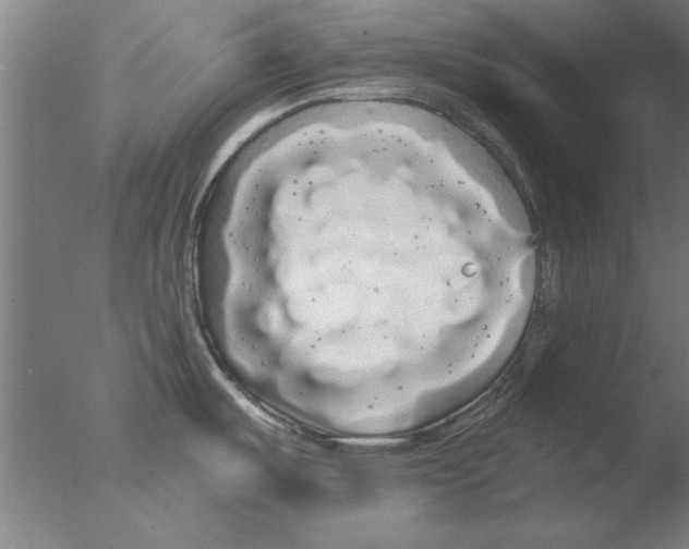 X0000076061487200610201935