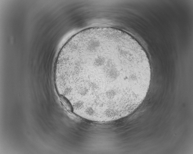 X0000076061488200610201935