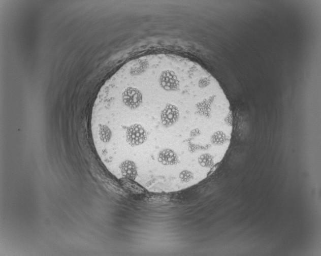 X0000076061489200610201934