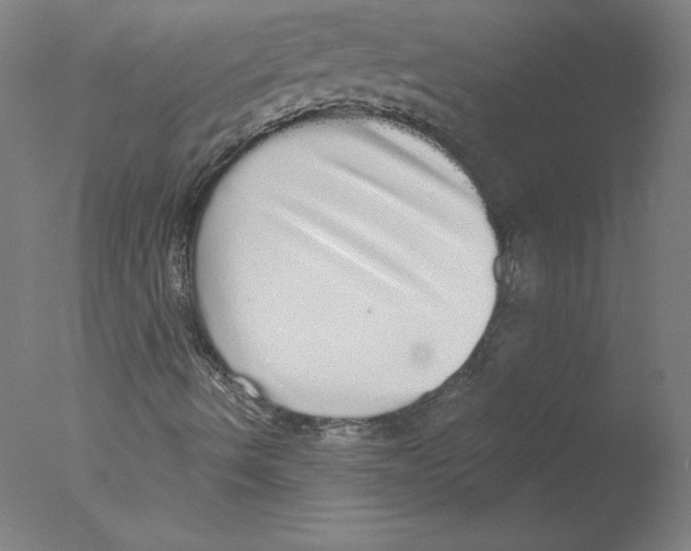 X0000076061490200610201934