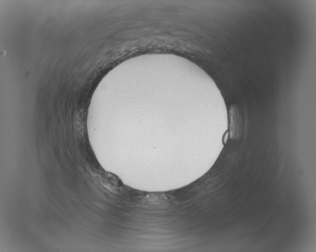 X0000076061491200610201934