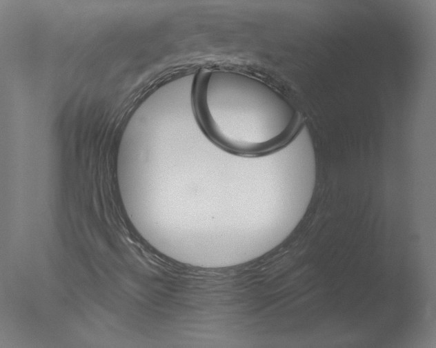 X0000076061492200610201934