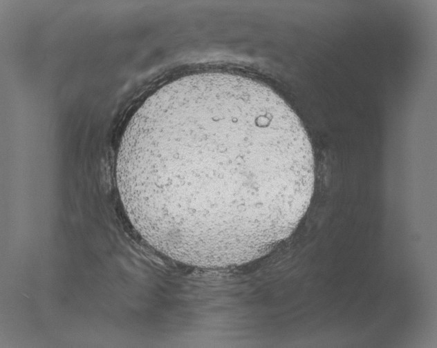 X0000076061493200610201934