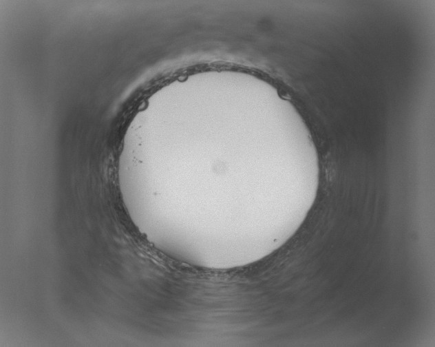 X0000076061495200610201934