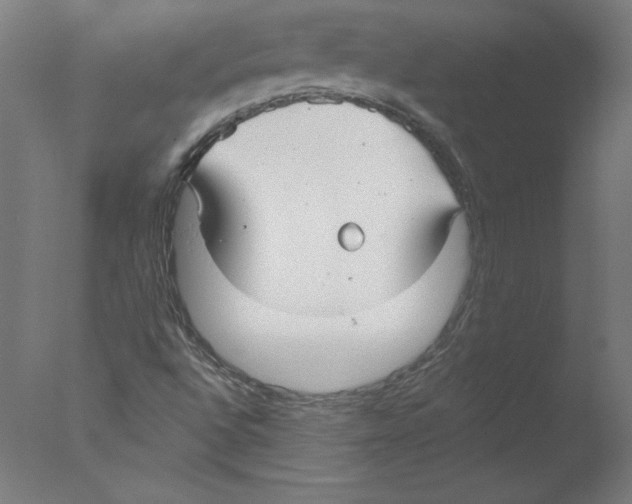 X0000076061496200610201934