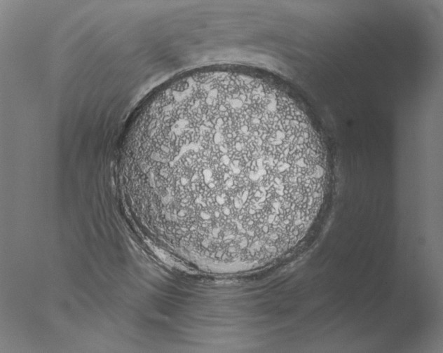 X0000076061497200610201934