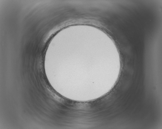 X0000076061498200610201934