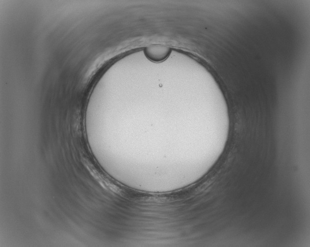 X0000076061499200610201934