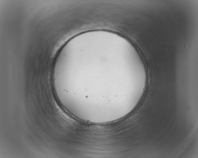 X0000076061500200610201934