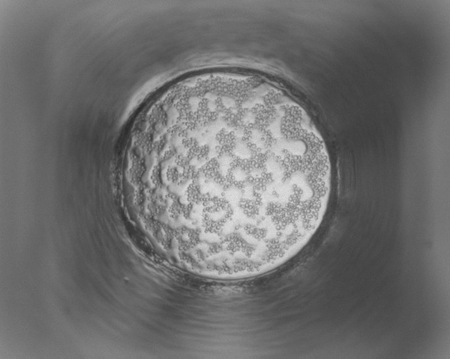 X0000076061501200610201934