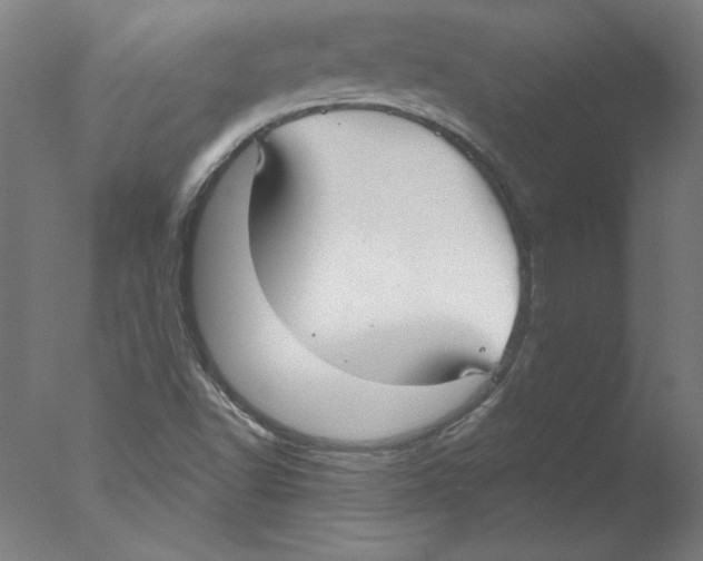 X0000076061502200610201934