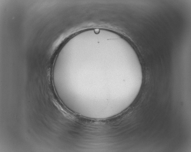 X0000076061503200610201934