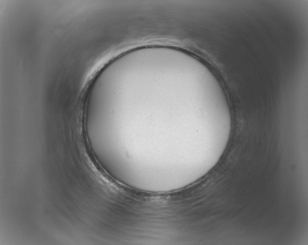 X0000076061504200610201934