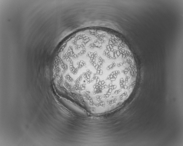 X0000076061505200610201934