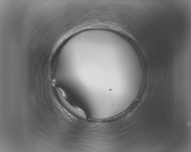 X0000076061506200610201934