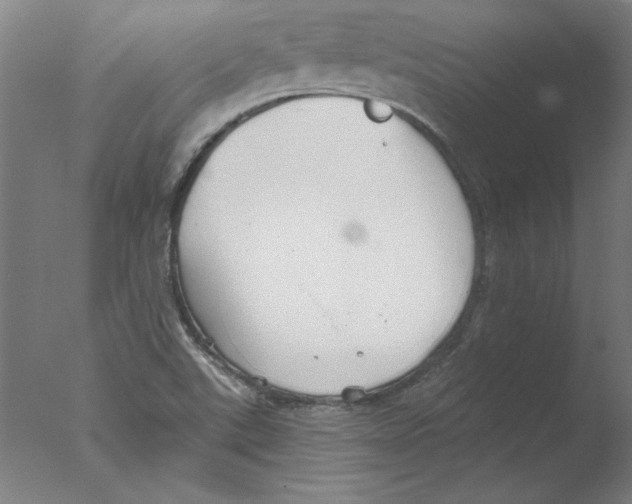 X0000076061507200610201934