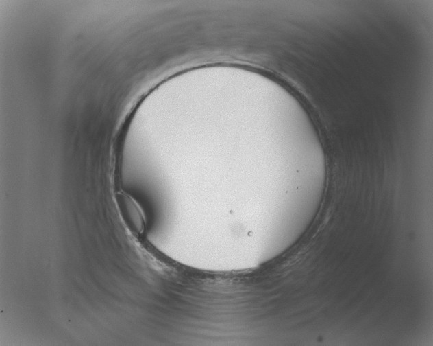 X0000076061508200610201934