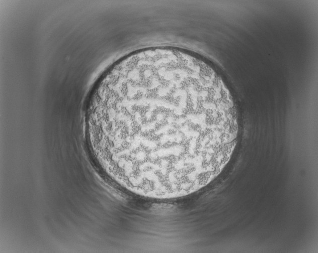 X0000076061509200610201934