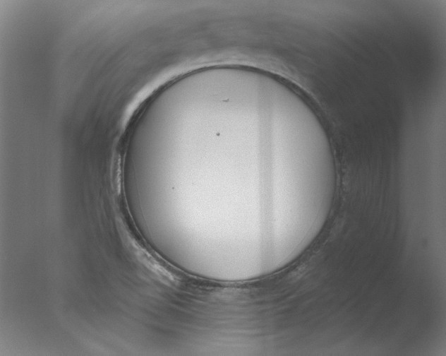 X0000076061510200610201934