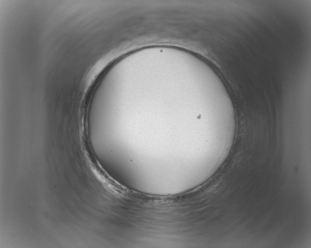 X0000076061511200610201935