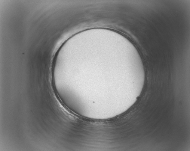 X0000076061512200610201935