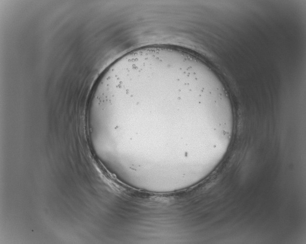 X0000076061513200610201935