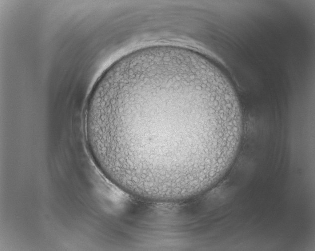 X0000076061514200610201935