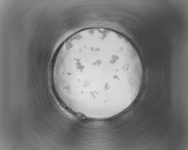 X0000076061517200610201935