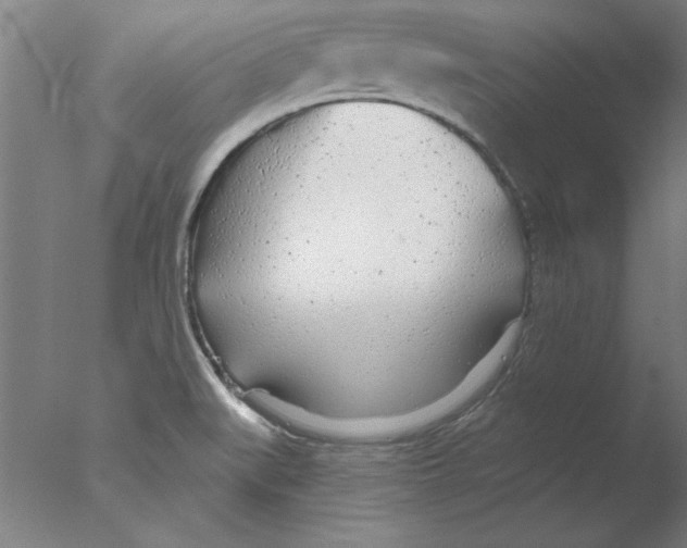 X0000076061519200610201935