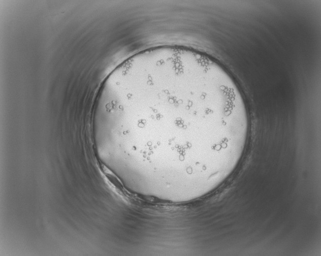 X0000076061521200610201935