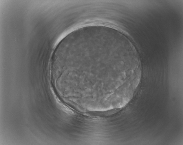 X0000076061522200610201935