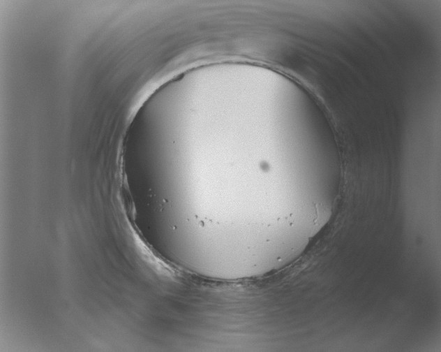 X0000076061524200610201935