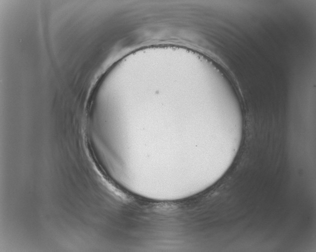 X0000076061525200610201935