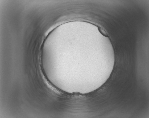 X0000076061526200610201935