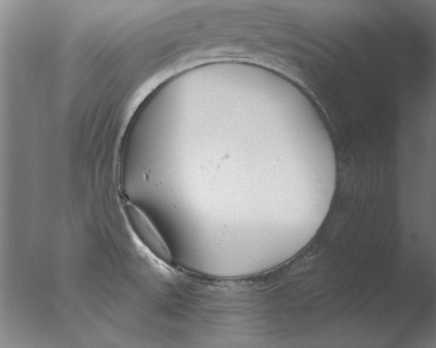 X0000076061527200610201935