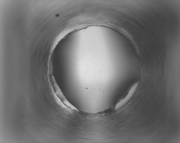 X0000076061528200610201935