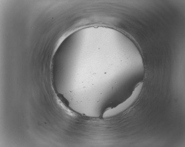 X0000076061532200610201935